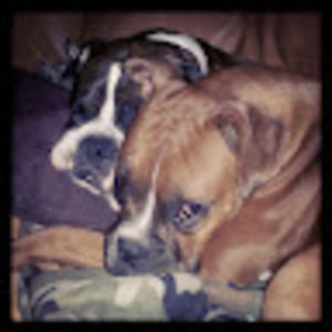 Meet your Posher, Casey